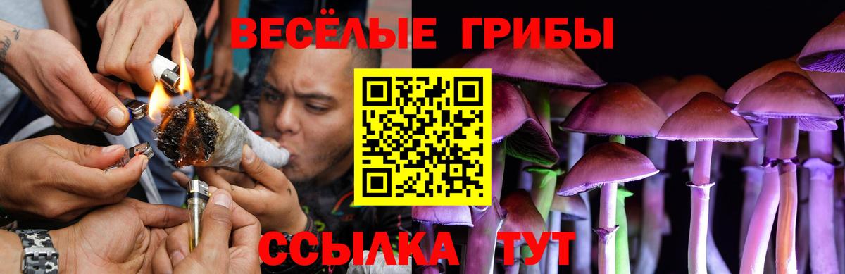Псилоцибиновые грибы MAGIC MUSHROOMS Краснотурьинск